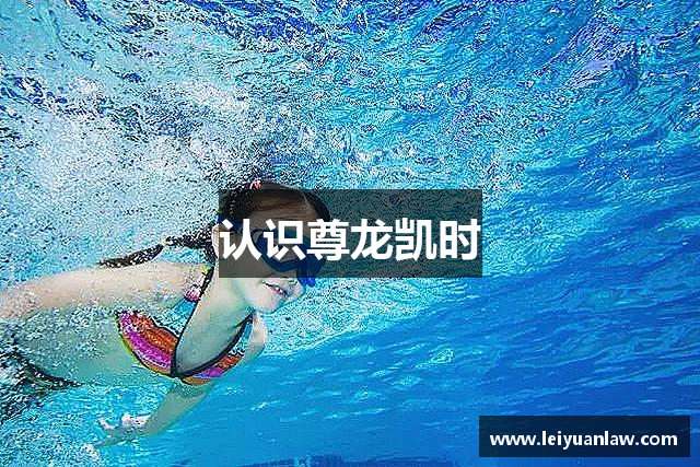 认识尊龙凯时
